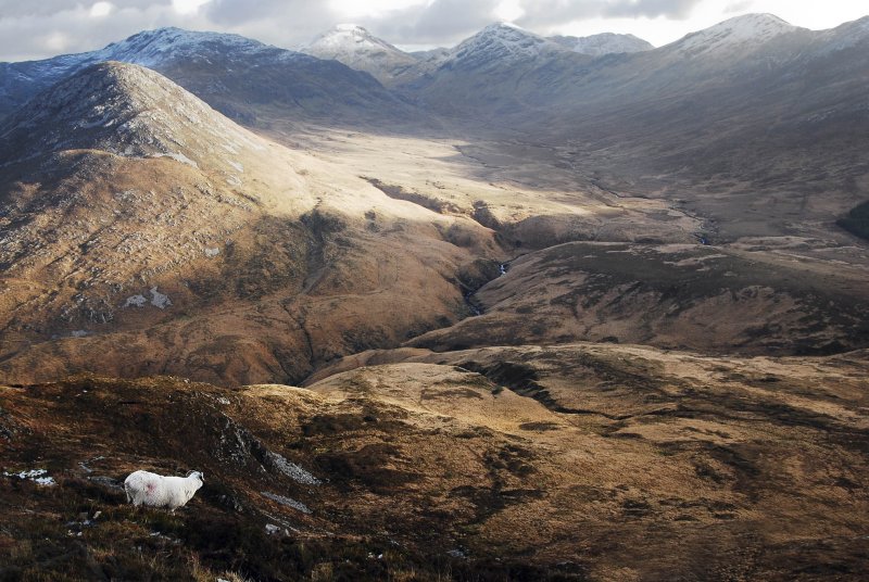 Connemara National Park