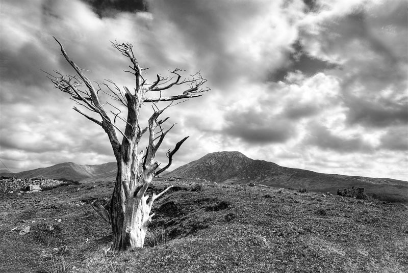 Connemara National Park BW