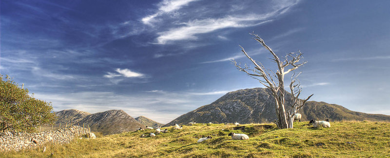 Connemara