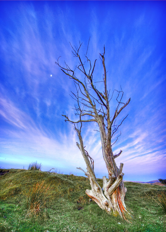 Connemara National Park