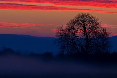 Frosty evening