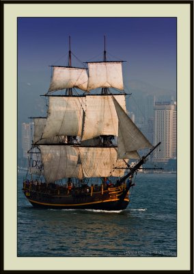 Hong Kong 2008