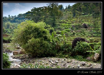 Podang, Kediri_12.09.2010