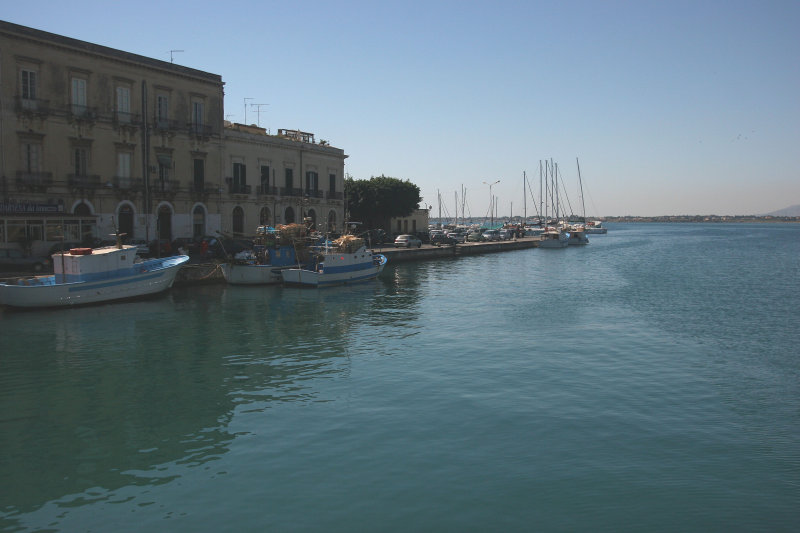 IMG_2895.JPG