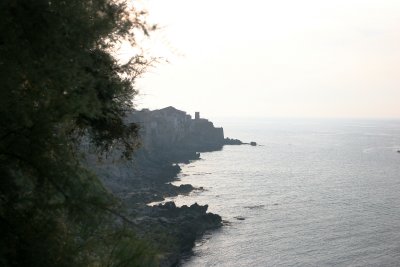 IMG_3100.JPG