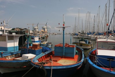 IMG_3216.JPG