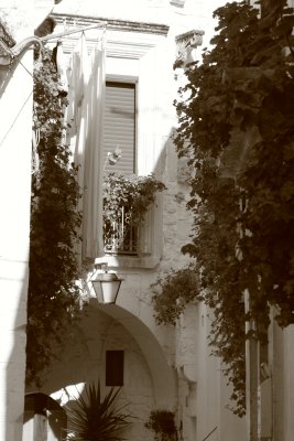 IMG_3410.JPG