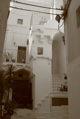 IMG_3452.JPG