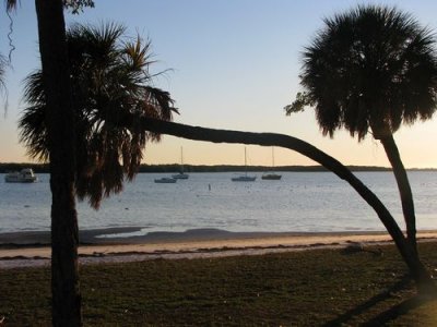 TREE FRAME