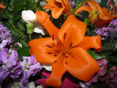 FLOWERS