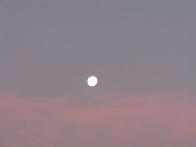 GOOD NIGHT MOON