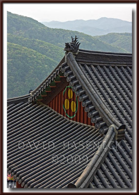 Yongdeuksa Buddhist Temple 용덕사 - Korea