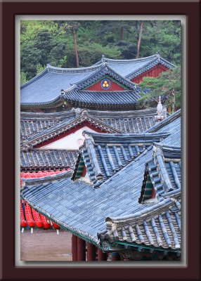 Bongeunsa Buddhist Temple 봉은사 - Korea