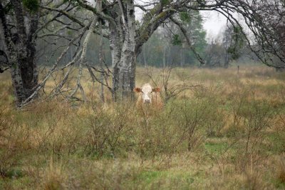 DSC_0028-enh.jpg