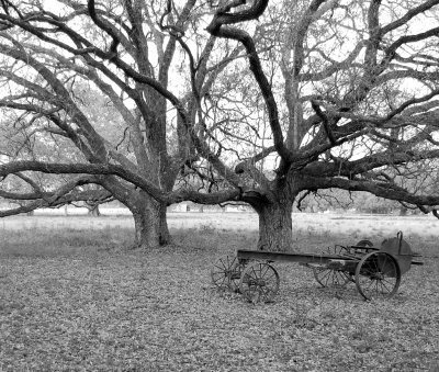 DSC_0181_old saw BW_032209.jpg