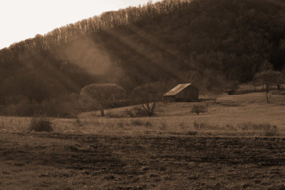 DSC_0162_enh_sepia.jpg