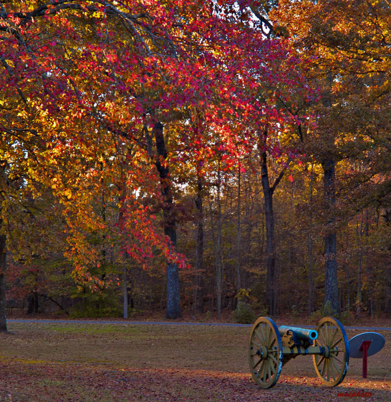 Autumn Evening