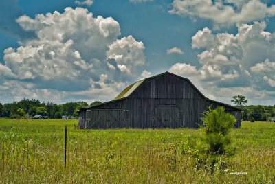 Barn with Green Roof