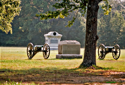 Monuments in the Field