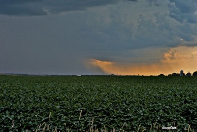 Storm on the Plains