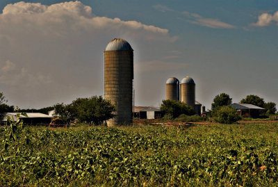 Farm on the Plains