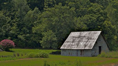 Southern Tennessee