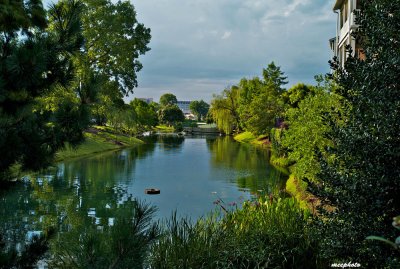 Water Garden