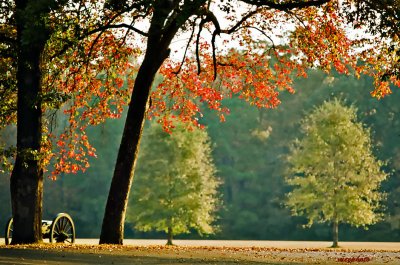 Autumn Morning