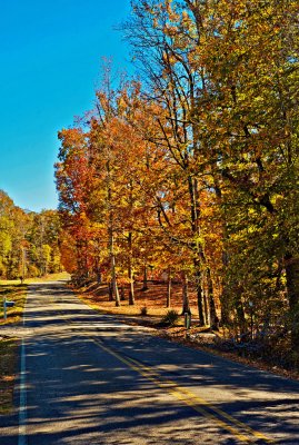 Autumn Country Road