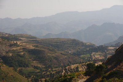 113.jpg
