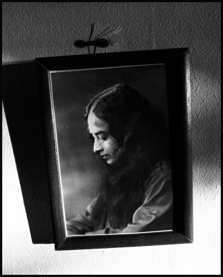 yogananda.jpg