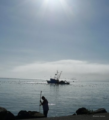 early herring fishing.jpg