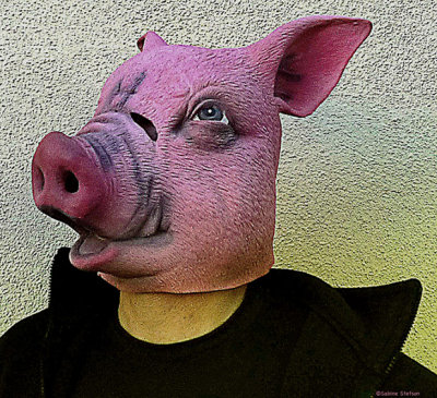 do you serve pork?.jpg