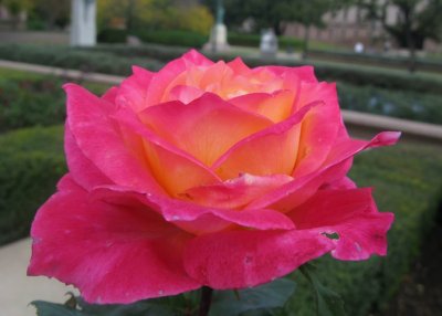 IMG_3820.JPG