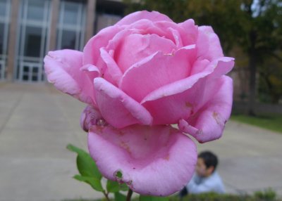 IMG_3828.JPG