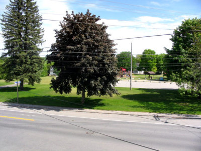 View from the porch