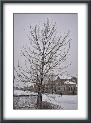 DSC_2671 b s.jpg
