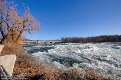 DSC_3217 b s.jpg