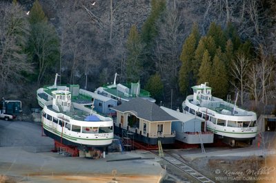 DSC_3229 b s.jpg