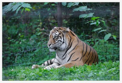 Toronto Zoo 2010