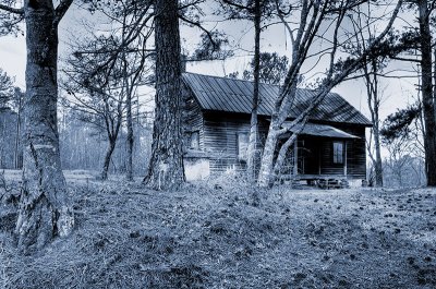 Old log cabin in Lineville Al, cyanotype