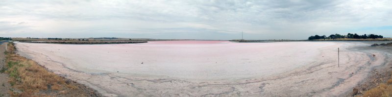 Pink salt lakes in SE or South Australia