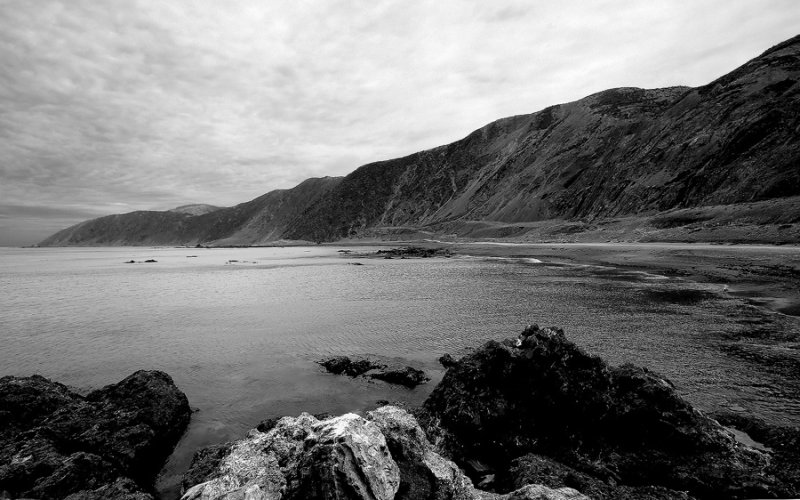 Wellington's South Coast