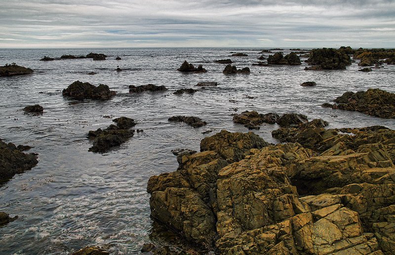 South Coast, Owhiro Bay