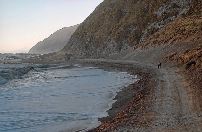 South Coast beyond Owhiro Bay