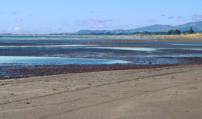 Waikanae River Mouth