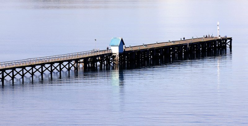 Petone Pier