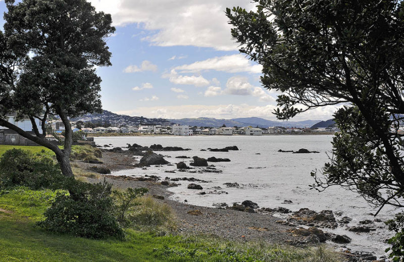 Lyall Bay