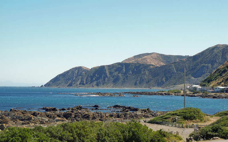 South Coast between Ohiro and Island Bays