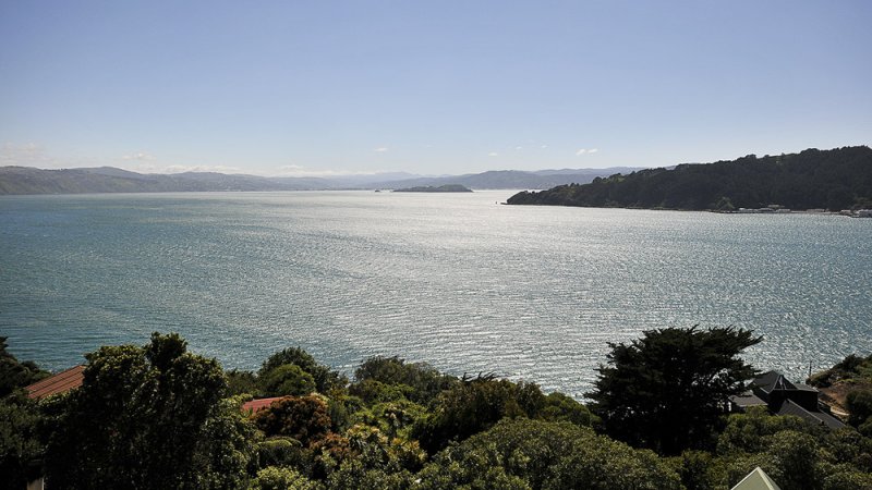 12 November 2010 - Harbour View - from Grafton Road looking North towards Hutt